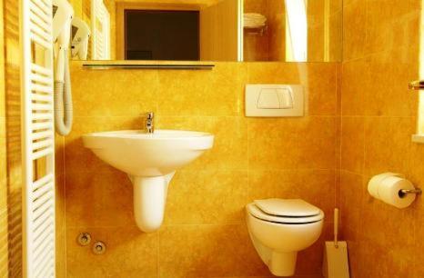 托尔博莱Albergo Al Caminetto的一间带水槽、卫生间和镜子的浴室