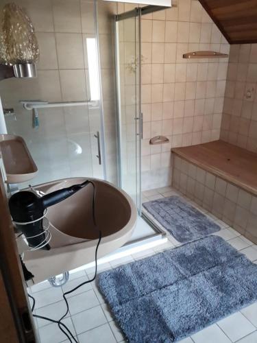 Blatterlhof的带淋浴、浴缸和盥洗盆的浴室