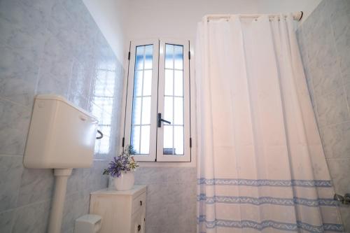 维拉诺瓦Villa ilporticciolovacanze的带淋浴帘和窗户的浴室