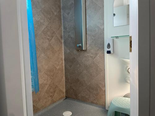 拉脱维亚WOMOCAMP Holzhütte 2的一间带蓝色窗帘的淋浴的浴室