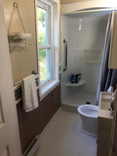 康沃尔Entire detached 3-bedrooms cute home in Cornwall area的带淋浴和卫生间的浴室以及窗户。