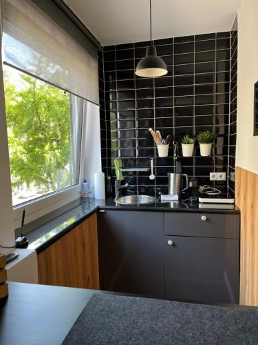 科隆Apartments KR的厨房设有黑色瓷砖墙,配有盆栽植物