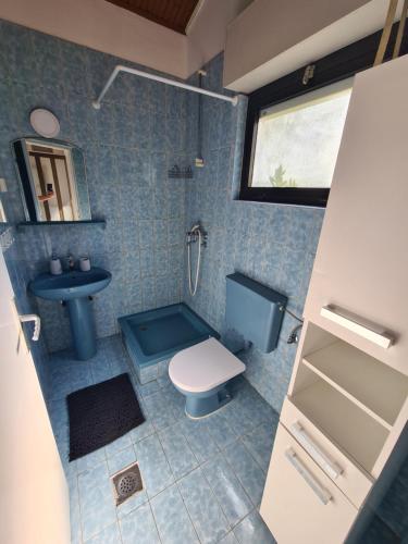 克勒克Blue Lagoon Studio Apartments的一间带卫生间和水槽的浴室