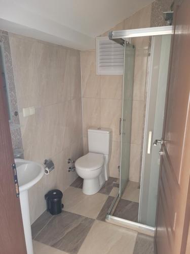 达利安Oasis Apart Hotel的一间带卫生间和水槽的浴室