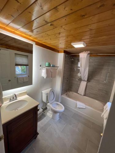 马吉谷Smoky Falls Lodge的浴室配有卫生间、浴缸和水槽。