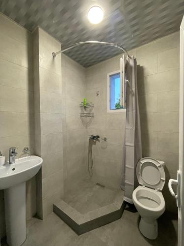 VaniZaali's wine cellar的带淋浴、卫生间和盥洗盆的浴室