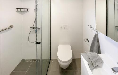 劳雷尔苏格3 Bedroom Gorgeous Home In Lauwersoog的白色的浴室设有卫生间和淋浴。