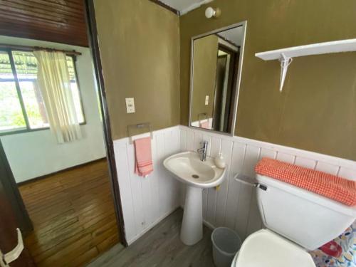 安加罗阿Casa familiar en sector residencial "HARE TOKE"的一间带卫生间、水槽和镜子的浴室
