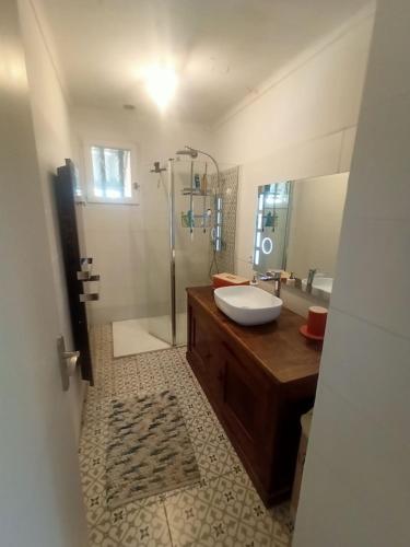 莫穆瓦龙country house 5 minutes from the foot of Ventoux的一间带水槽和淋浴的浴室