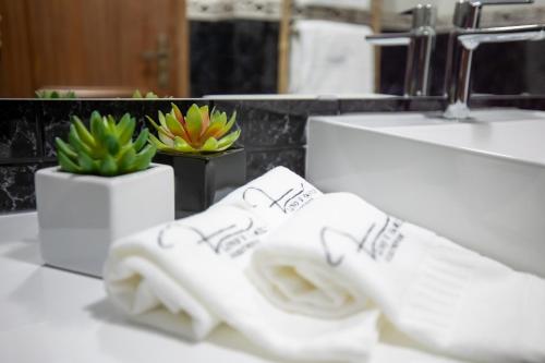 比索达雷加Lino's Family的浴室提供白色毛巾、水槽和植物