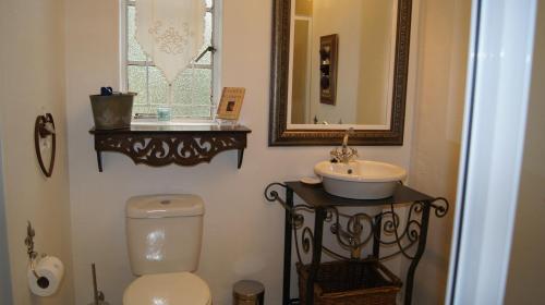 库鲁曼Cunningham Cottage Guest House的一间带卫生间、水槽和镜子的浴室