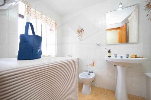比利亚维西奥萨Casa PedroArias Rodiles的浴室设有白色浴缸、水槽和袋子