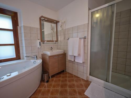 斯洛文尼亚科尼采兹拉提格力科葡萄酒大厦酒店的带浴缸、水槽和镜子的浴室