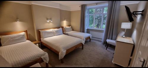 埃文河畔斯特拉特福火蜥蜴旅馆的小房间设有两张床和窗户
