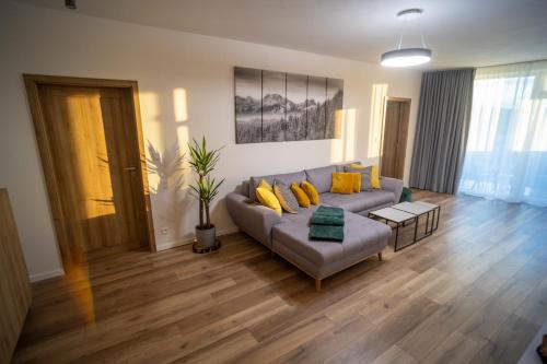 普雷绍夫Po City Newly Built Apartment的带沙发和木地板的客厅