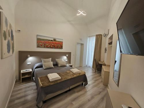 卡塔尼亚City Rooms Katane的一间卧室配有一张床和一台平面电视