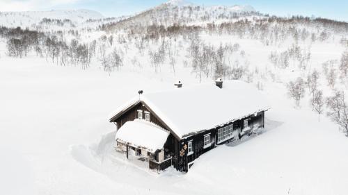 TorvetjørnGuroli - Mountain Lodge的雪中积雪覆盖的房子