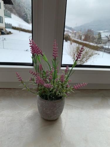 穆劳Murzeit Zweite的窗前的花瓶,花紫色