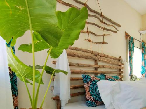 迪亚尼海滩Palm Paradise Loft的坐在床上的绿色植物