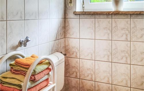 KleingießhübelCozy Apartment In Bad Schandau- Kleing, With Wifi的浴室毛巾架上的一堆毛巾