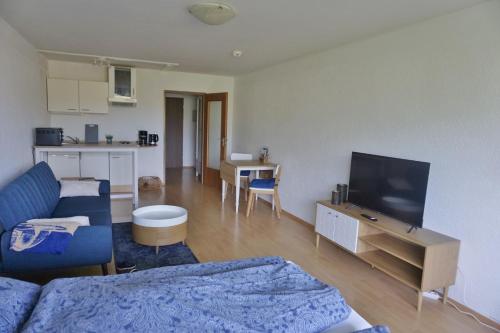 巴特莱辛哈尔Appartement Traumblick的带沙发和电视的客厅以及厨房。