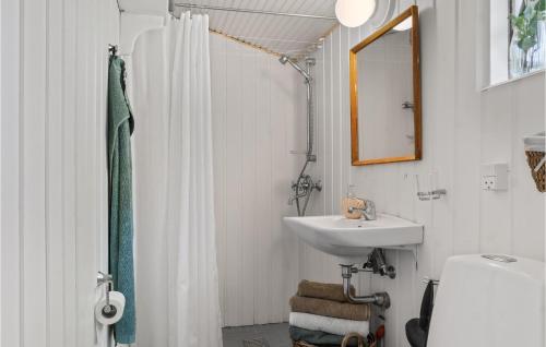 Jægerspris3 Bedroom Beautiful Home In Jgerspris的白色的浴室设有水槽和淋浴。