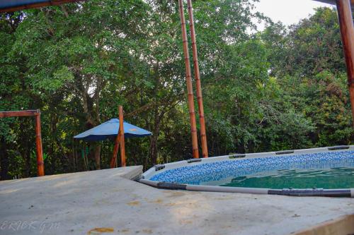 La MacarenaHostal Caño Nevera的一个带遮阳伞和遮阳伞的室外游泳池