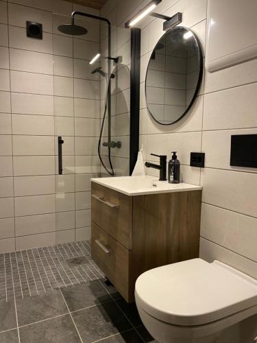 史特林Stryn Mountain Lodge的一间带卫生间、水槽和镜子的浴室