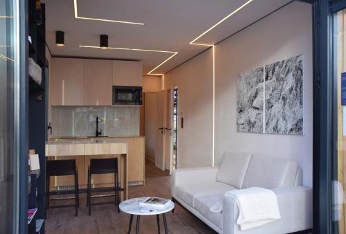 鹿特丹tiny house的一间带白色沙发的客厅和一间厨房