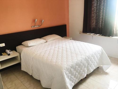 马拉巴HOTEL ITACAIUNAS的卧室配有白色的床和窗户。