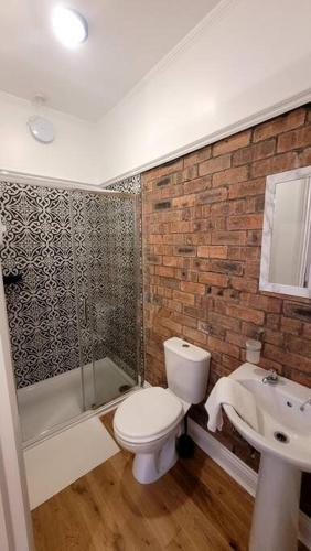 兰德林多德威尔斯Sunnyside Studio Apartment的浴室配有卫生间、淋浴和盥洗盆。