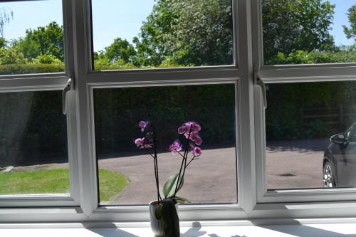 伊利Beautiful studio in Ely的窗前带紫色花的花瓶