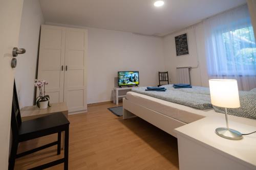 维谢格拉德Villa Harmónia Apartman的一间卧室配有一张大床和电视