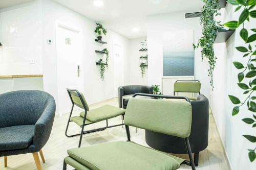 阿罗萨新镇O Legado de Ramira的一间设有椅子和墙上植物的等候室