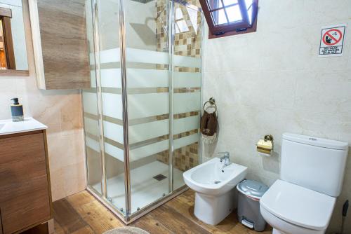 圣布里希达Las Cuevitas del Gamonal的带淋浴、卫生间和盥洗盆的浴室
