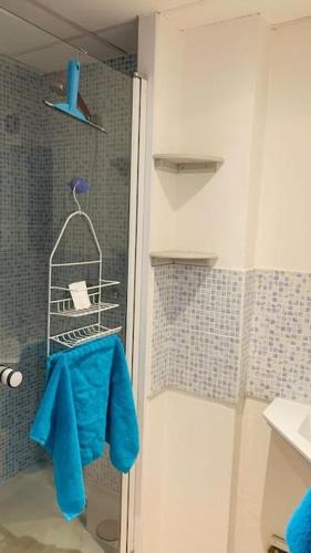 Chazey-sur-AinLocation appartement proche cité médiévale de Pérouges, CNPE的浴室设有淋浴,配有带蓝色毛巾的架子