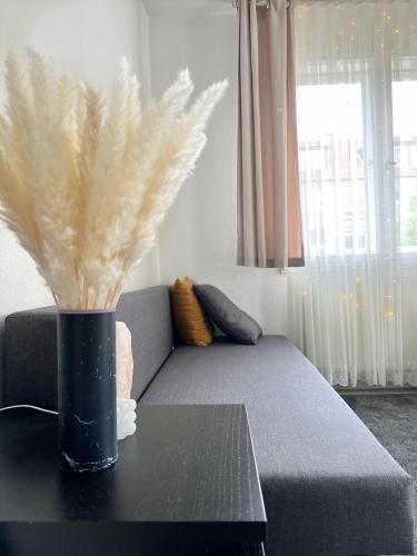 汉诺威1 Room Apartment in City of Hannover的客厅的桌子上带羽毛的花瓶