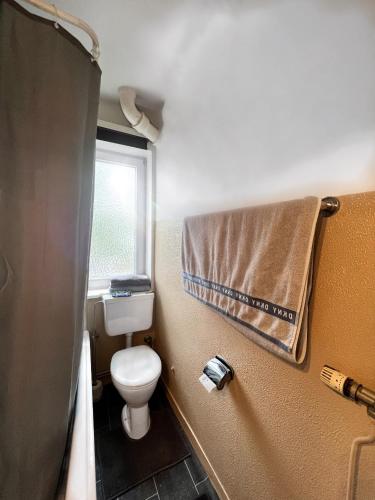 汉诺威1 Room Apartment in City of Hannover的一间带卫生间、窗户和毛巾的浴室