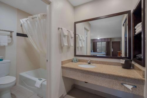 诺沃克诺沃克贝斯特韦斯特酒店的一间带水槽、卫生间和镜子的浴室