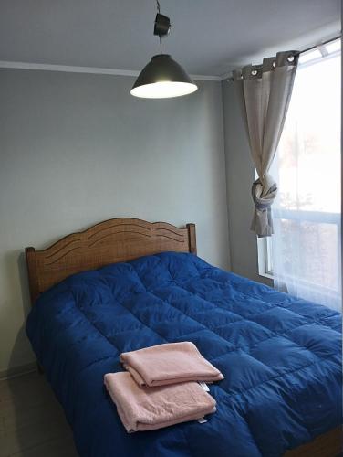 瓦尔帕莱索Departamento 1 Dormitorio 1 Baño Valparaíso的床上铺有蓝色床单和粉红色毛巾
