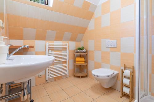 特罗亚诺维采Penzion Na Lomné的一间带水槽和卫生间的浴室