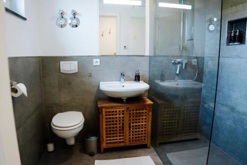 耶拿Design Home Office & Central Hideaway - EAH, ZEISS, SCHOTT in 5 min的一间带水槽、卫生间和淋浴的浴室