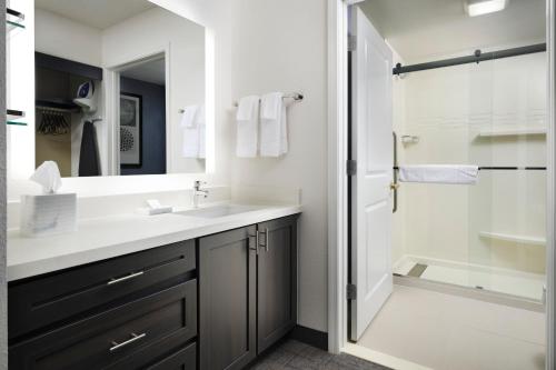 斯坦霍普国际贸易中心橄榄山原住客栈的一间带水槽和淋浴的浴室