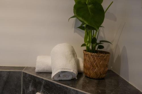 科布伦茨Luxuriöse Wohnung mit Flussblick nahe Stadtzentrum的一间带毛巾和台面植物的浴室