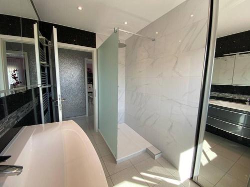 阿梅尔斯克维Chez Florence Ammerschwihr的一间带步入式淋浴间和玻璃门的浴室