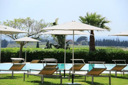门菲Masseria del Carboj的一组椅子和遮阳伞,位于游泳池旁