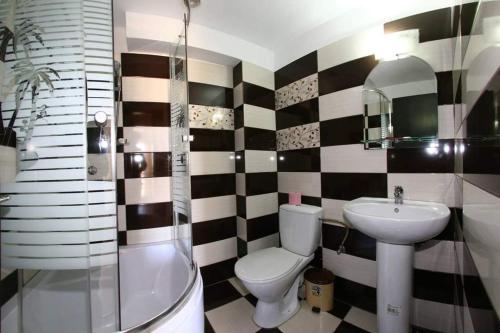 兰卡Casa Teodora Rânca的浴室配有卫生间、盥洗盆和淋浴。