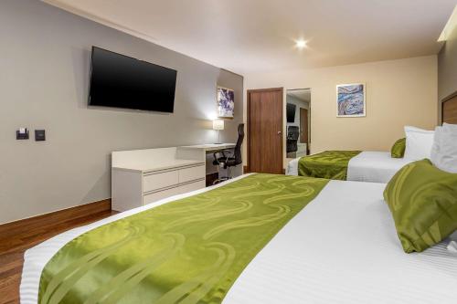 奇瓦瓦奇瓦瓦旧金山品质酒店的酒店客房设有两张床和一台平面电视。