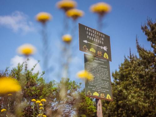 哈内茨堡Zwakala River Retreat的一大束黄色鲜花前面的标志
