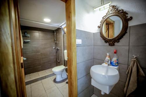 巴尼亚卢卡Vikendica za odmor Ušće的一间带卫生间、水槽和镜子的浴室